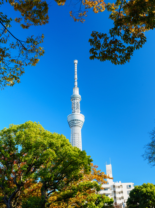 Japan Tokyo Skytree GI 2200660767