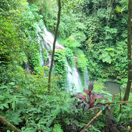 bali - Banyumala vandfald_06