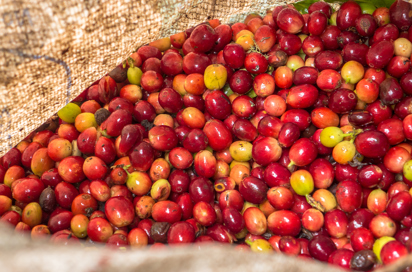 colombia - jerico_kaffe_01