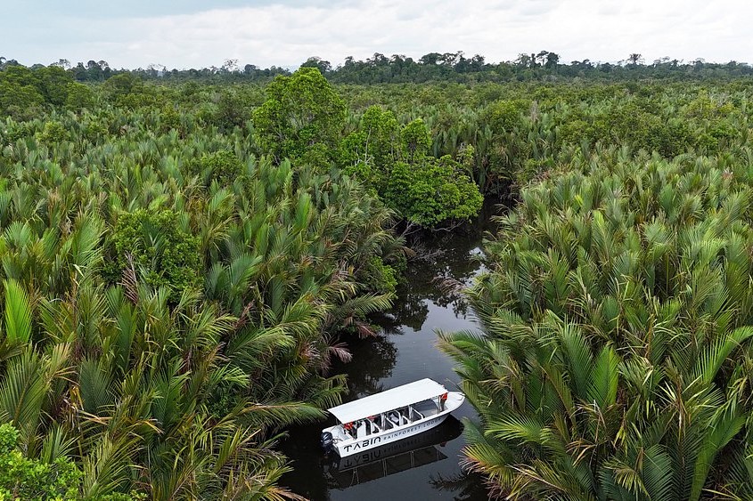 Utan Rainforest Lodge Flodsafari