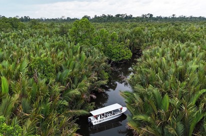 Utan Rainforest Lodge Flodsafari
