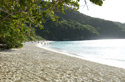 dansk vestindien - st john_trunk bay