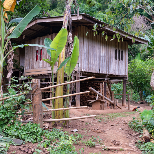 Thaton Lahu Hus 1515923864