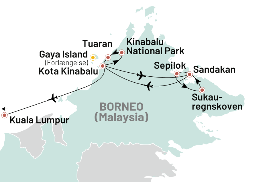 Borneo Borneos Vilde Skoenhed