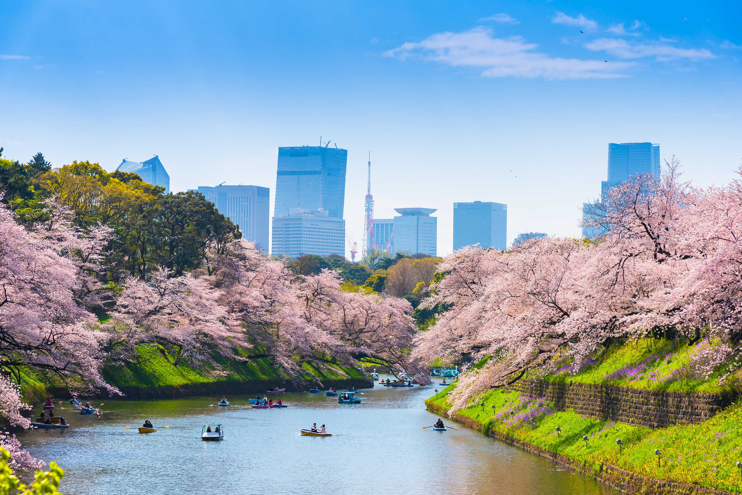 Tokyo Chidorigafuchi Soe As 600955975