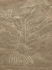 Nazca Linjerne Peru Træet 1413841157