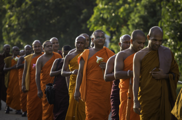 sri lanka - kandy_munke_01