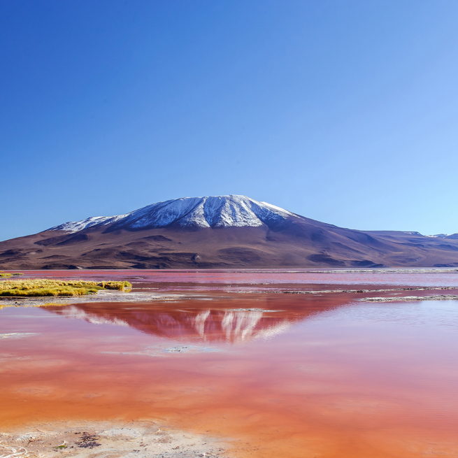 colorada_roed lagune_04