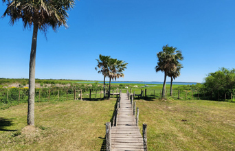 Posada De La Laguna Udsigt