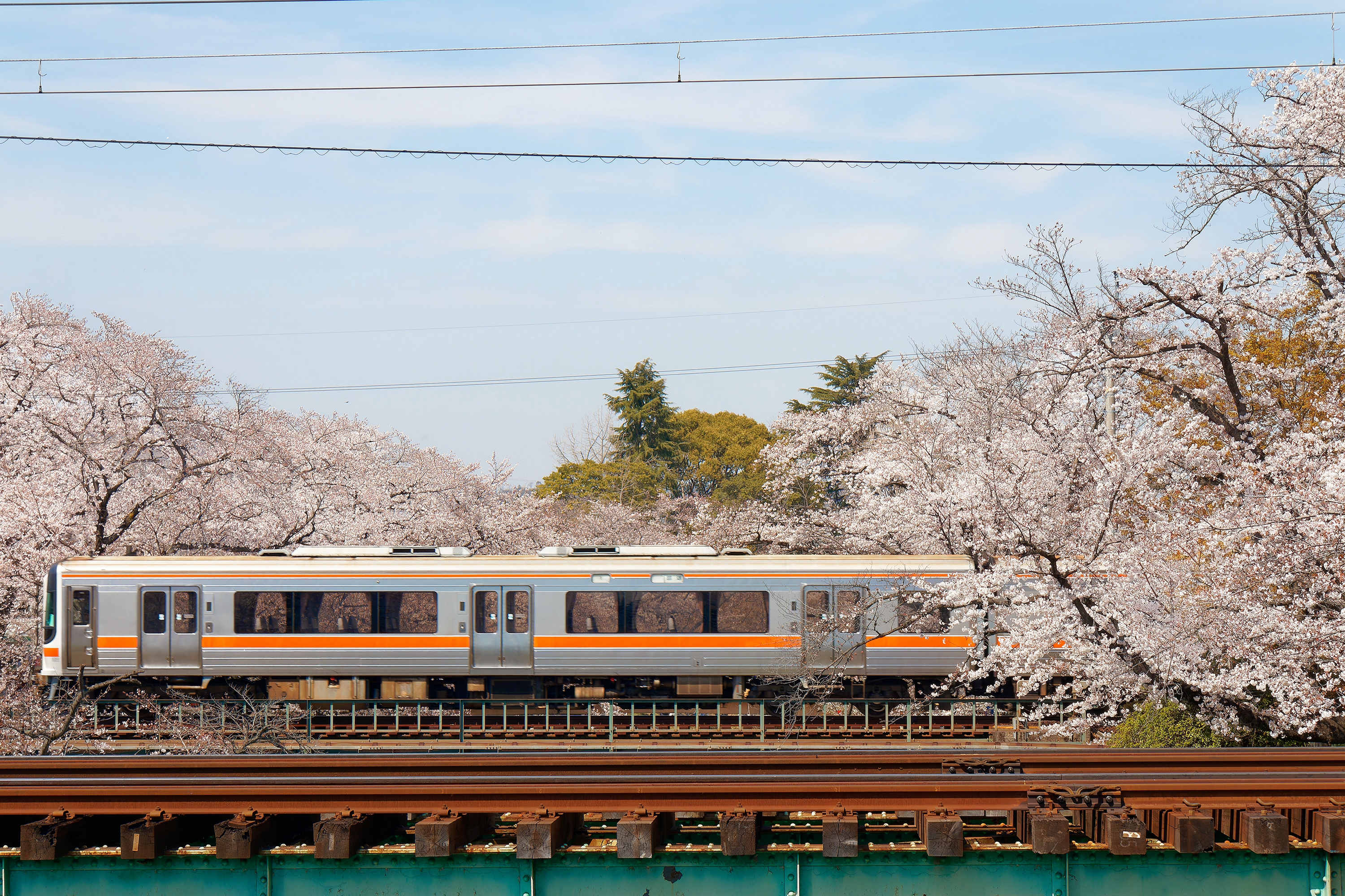 Takayama Tog Ss 2234728953