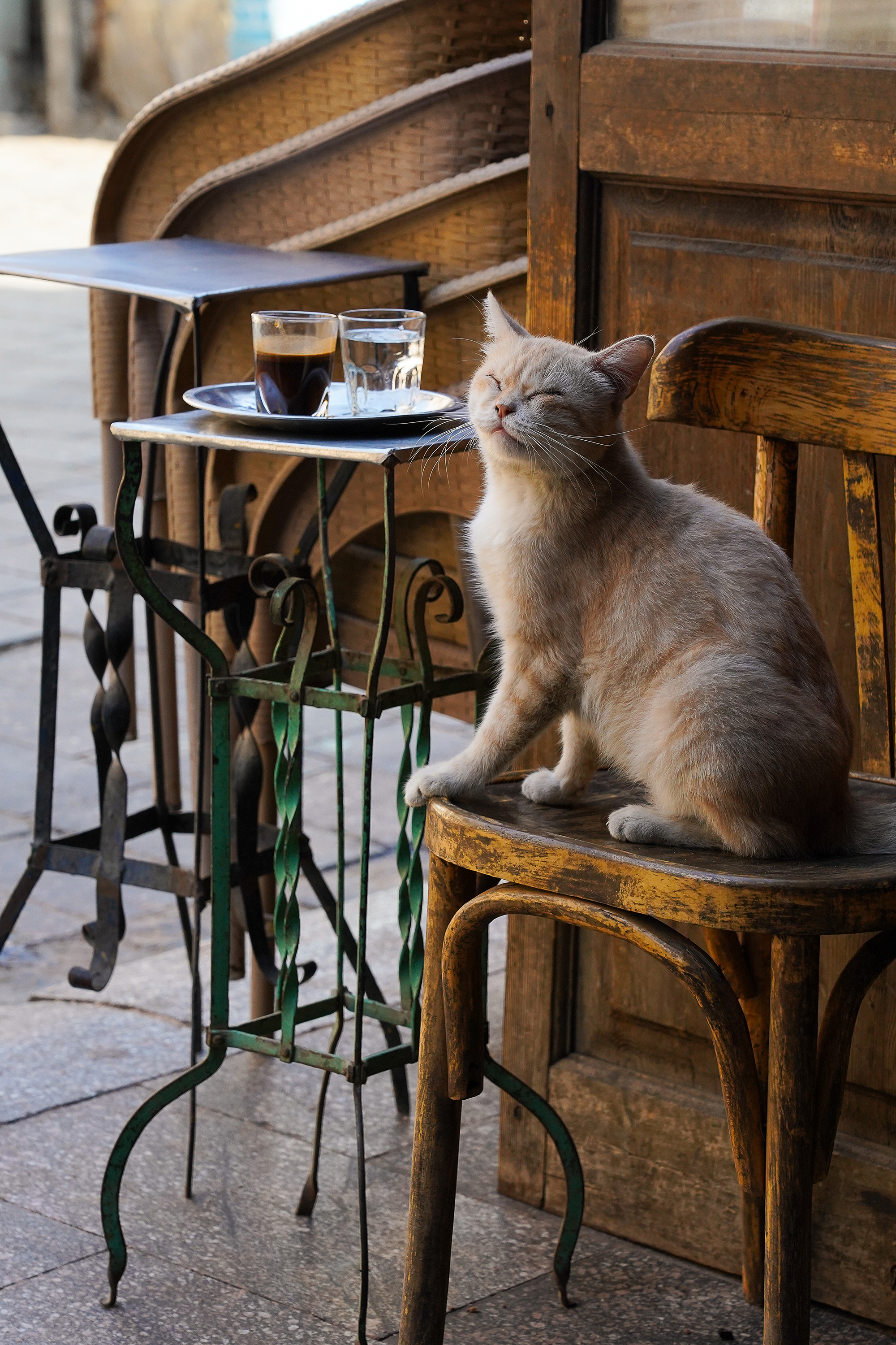 Cairo Cafe Kat As 649028300