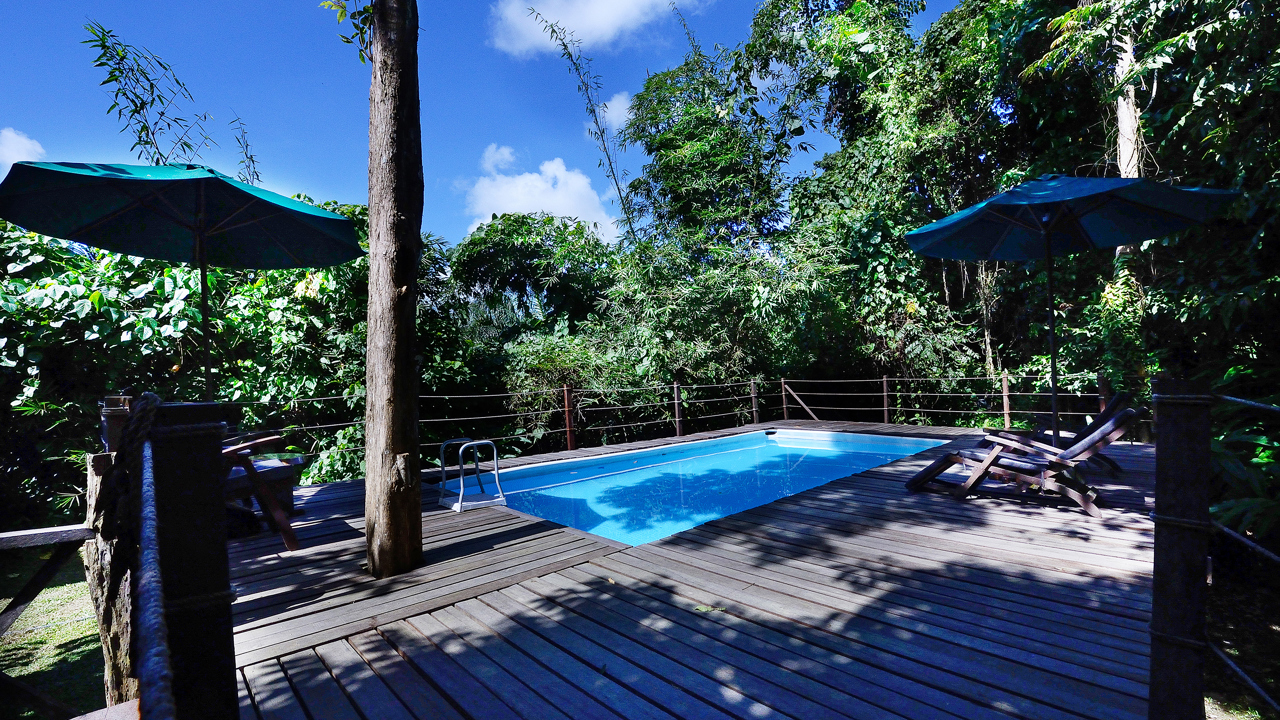 sukau rain forest lodge_pool_01