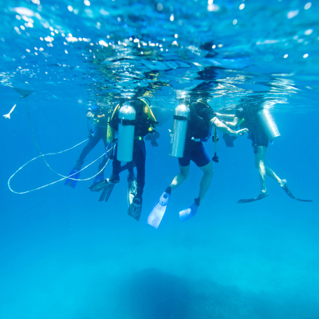 seychellerne - seychellerne_dykning_01