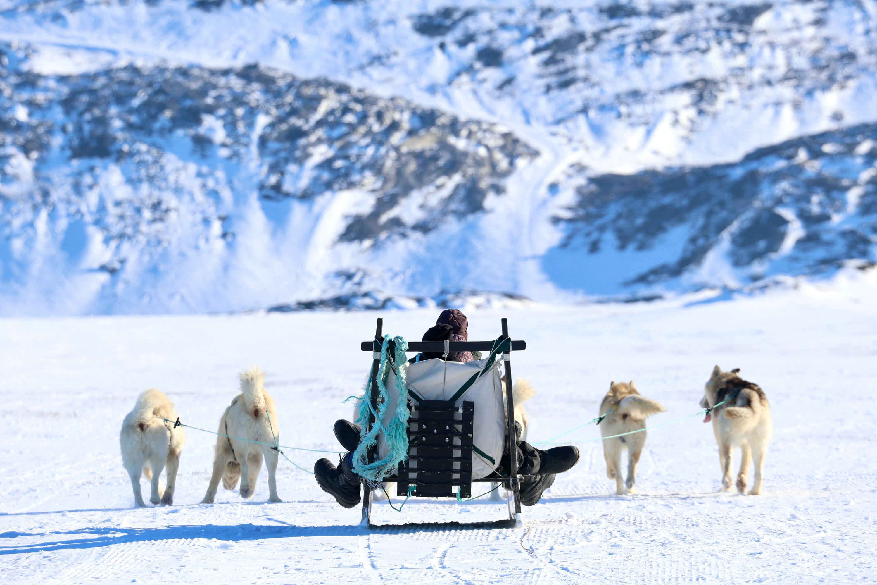 Ilulissat Hundeslaede 2449353233