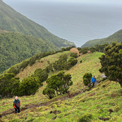 azorerne_sao_jorge_serra_do_topo_til_faja_do_cubres_vandring_06