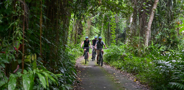 Udflugt Cykel Mad 05Q