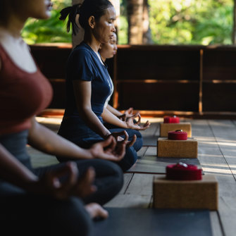 Farm House Smiling Gecko Yoga 03