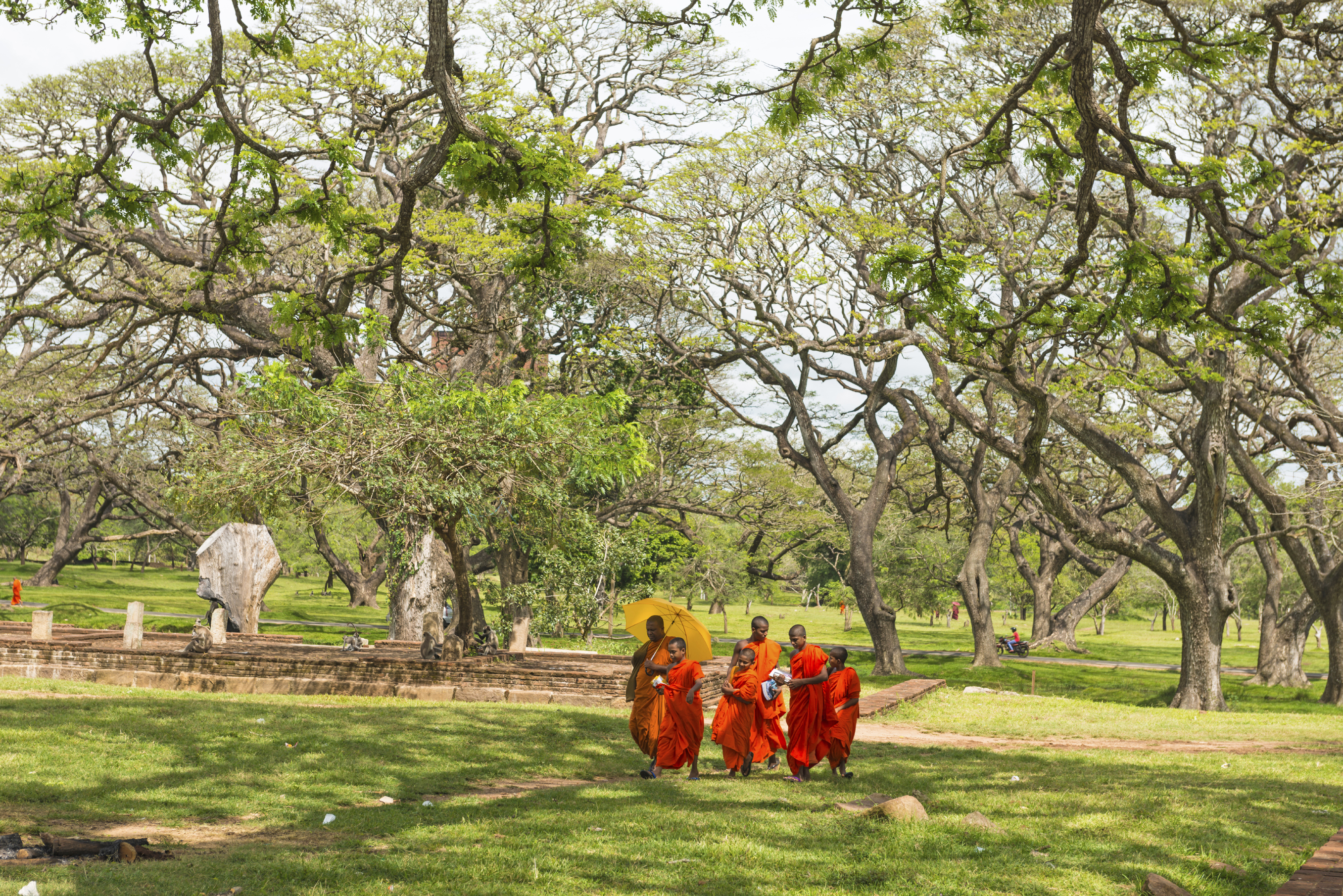 sri lanka - anuradhapura_munk_01