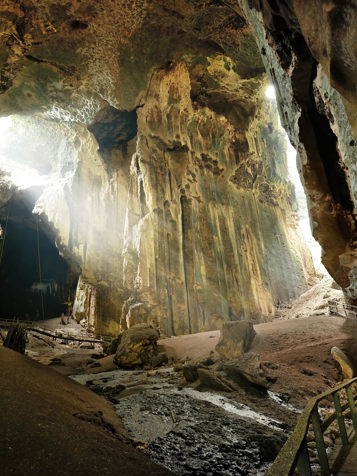 I Gomantong-grotten vrimler det med flagermus.
