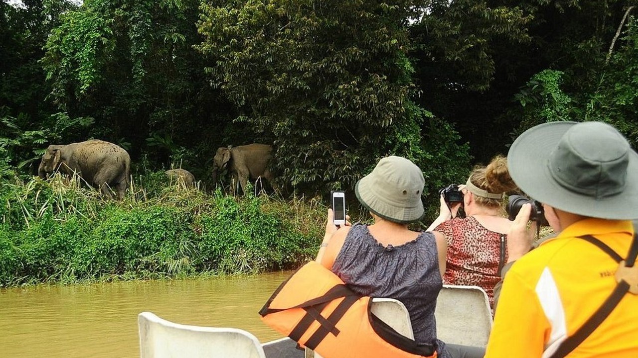 Sukau Greenview Lodge Flodtur 01