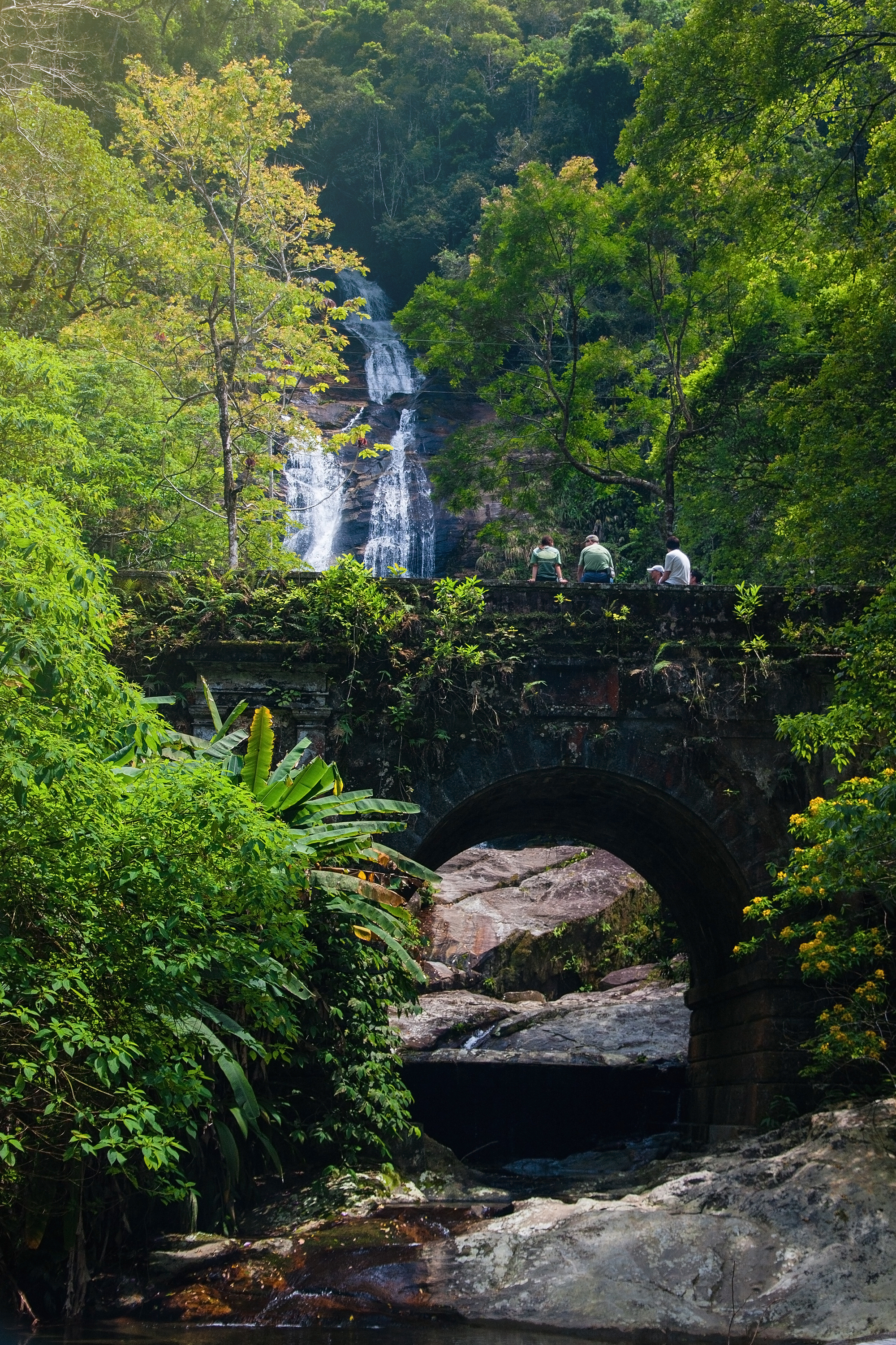 Tijuca Forest Brickbridge