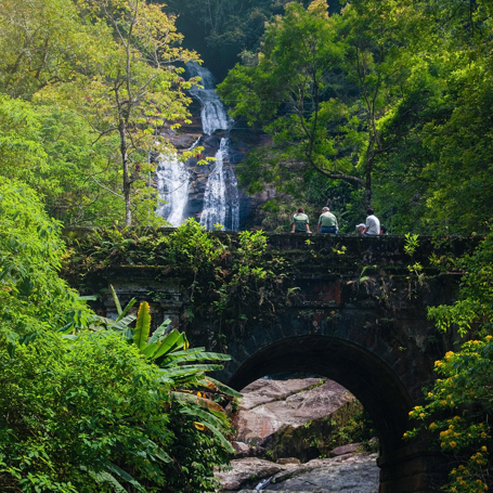Tijuca Forest Brickbridge