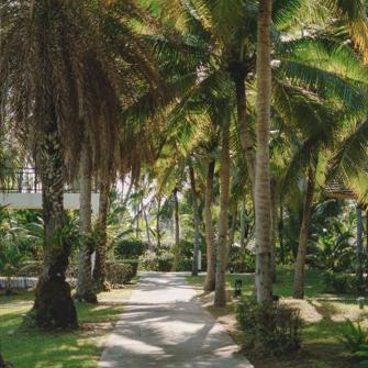 Twin Lotus Fællesareal 2