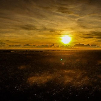 Utan Rainforest Lodge Luftfoto Kapur Forest