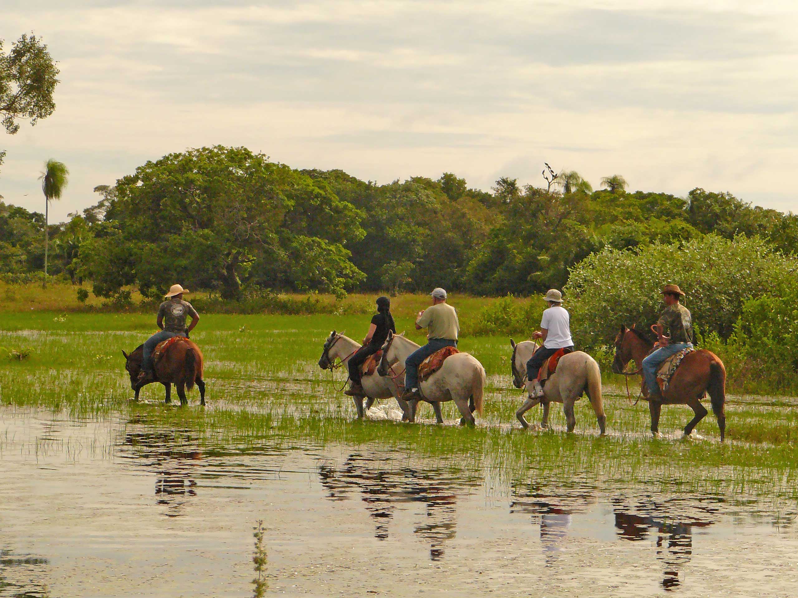 Horseback Riding