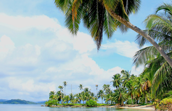 panama - yandrup island_04_just