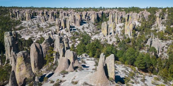 Creel Monk Valley GI 2234966976