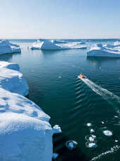 Ilulissat Isbjerge Sejltur 2363524323