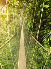 malaysia - Taman negara_01