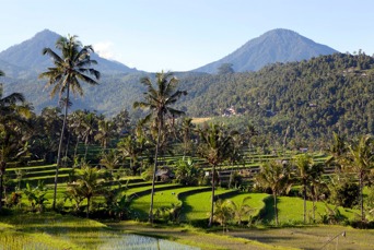 bali - munduk_rismark_01