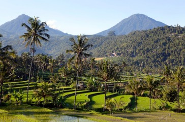 bali - munduk_rismark_01