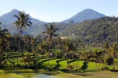 bali - munduk_rismark_01
