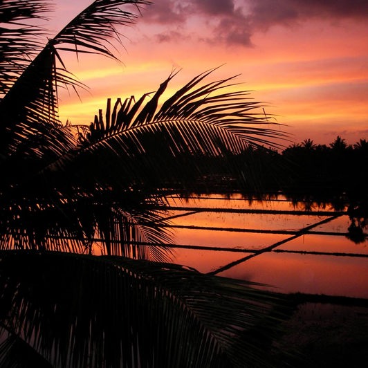 bali - bali_rismark_sunset_01_HF