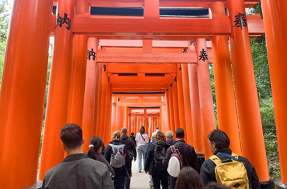 Torii Gates