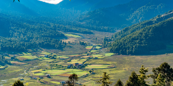 Phobjikha Adobestock 195901570