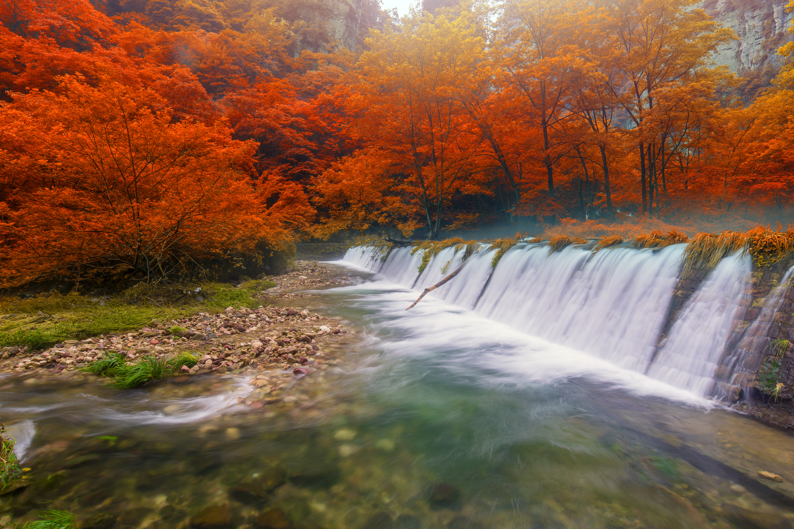 Gyldent efterår ved Golden Whip Stream