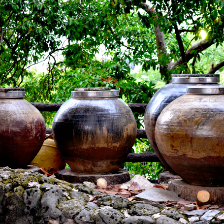 Clay Pot