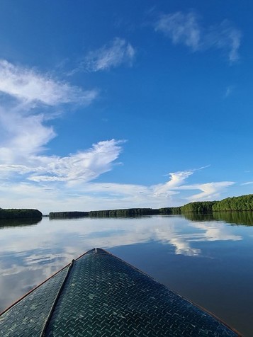 Fra Sukau-regnskoven går rejsen videre til Utan-regnskoven