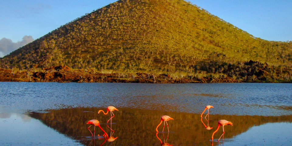 Galapagos_Floreana_02