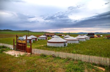 Moltsog Els Ger Camp Khustai NP (1)