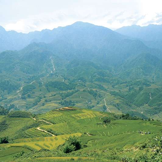 vietnam - sapa_victoria resort spa_rismark_01