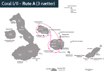 Coral_rute_A