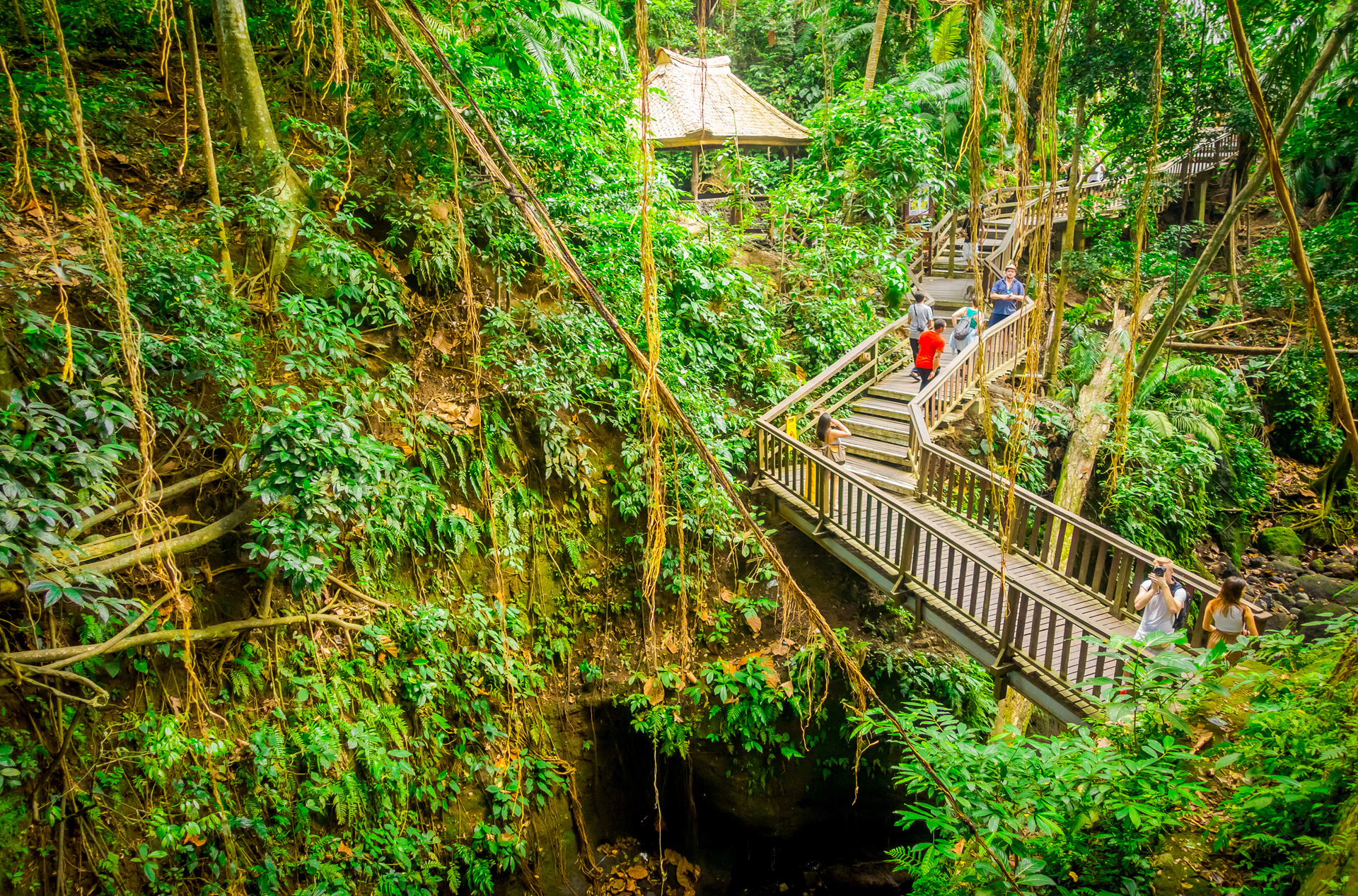bali - ubud_monkey forrest_09