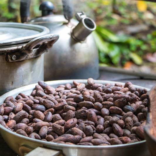 Chokoladefremstillingsprocess 1050783002