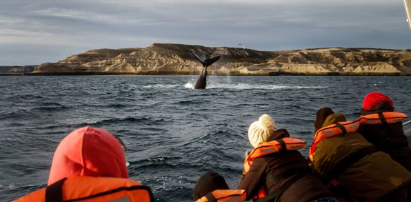 Argentina Puerto Madryn Boat And Southern Right Whale