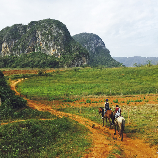 cuba - vinales_ridning_natur_udsigt_01